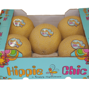 Melones Galia Hippie Chic 40x30x14