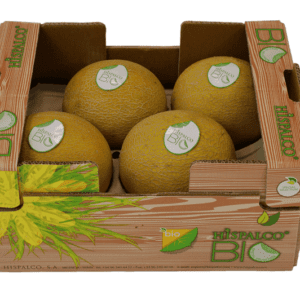 Melon Galia Hispalco Bio 40x30x14