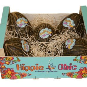 Melones Piel de Sapo  Hippie Chic 60x40x15.5