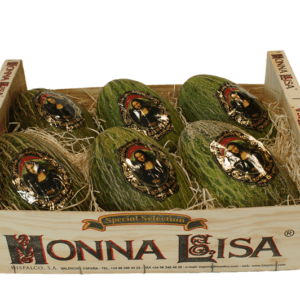 Melones Piel de Sapo Monna Lisa 50x30x19