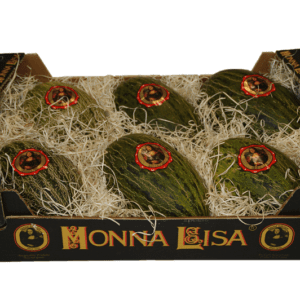 Melones Piel de Sapo  Monna Lisa 60x40x15.5