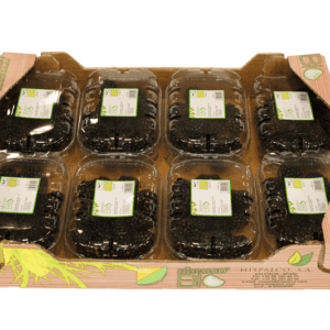 Moras Hispalco Bio 40x30x7