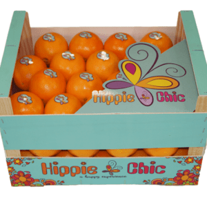 Naranjas Hippie Chic Navidad  40x30x23.5