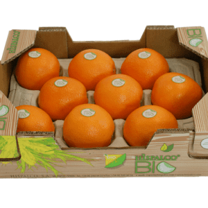 Naranjas Hispalco Bio 40x30x12