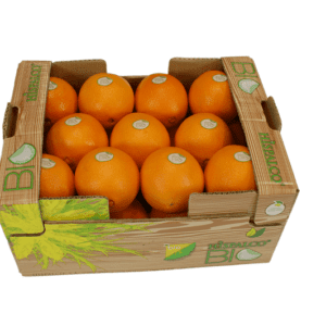 Naranjas Hispalco Bio 40x30x18