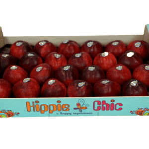 Nectarinas Hippie Chic 50x30x9.5