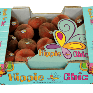 Paraguayos Hippie Chic 40x30x12