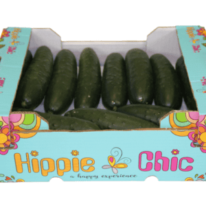 Pepinos Francés Hippie Chic 40x30x12