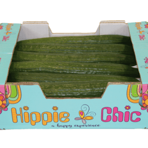 Pepinos Holandés Hippie Chic 40x30x14
