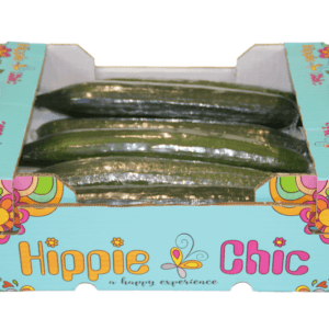 Pepinos Holandés Hippie Chic 40x30x14