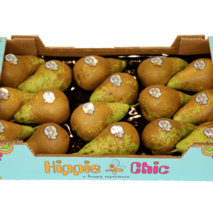 Peras Hippie Chic 50x30x9