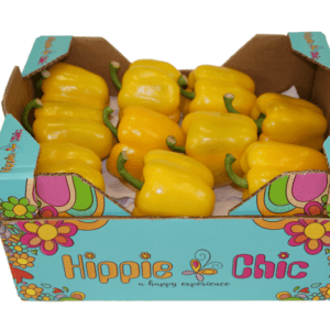 Pimientos California Wonder Amarillo Hippie Chic 40x30x20.5
