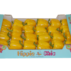 Pimientos California Wonder Amarillo Hippie Chic 60x40x11