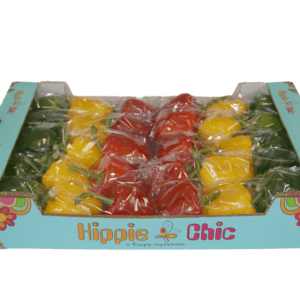 Pimientos California Wonder Hippie Chic 60x40x11