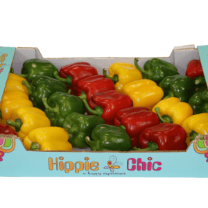 Pimientos California Wonder Hippie Chic 60x40x11