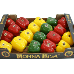 Pimientos California Wonder Monna Lisa 60x40x11