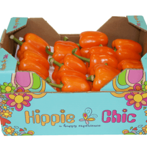 Pimientos California Wonder Naranja Hippie Chic 40x30x20.5