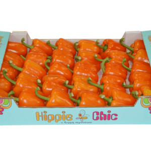Pimientos California Wonder Naranja Hippie Chic 60x40x11