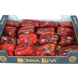 Pimientos Lamuyo Rojo Monna Lisa 60x40x11
