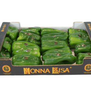 Pimientos Lamuyo Verde Monna Lisa 60x40x11