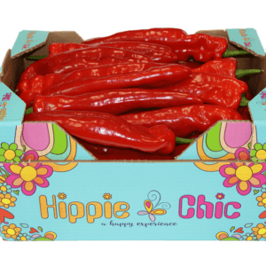 Pimientos Ramiro Rojo Hippie Chic 40x30x20.5