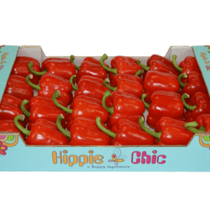 Pimientos  Rojo Hippie Chic 60x40x11