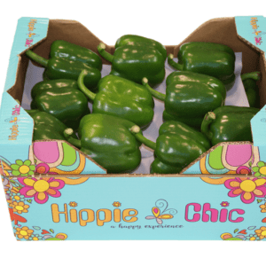 Pimientos Verde Hippie Chic 40x30x20.5