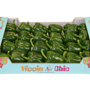 Pimientos Verde Hippie Chic 60x40x11