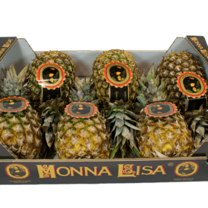 Piñas Cayena Lisa Monna Lisa 60x40x16
