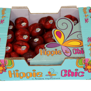 Platerinas Hippie Chic 40x30x12