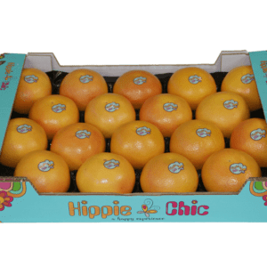 Pomelos Hippie Chic 60x40x11