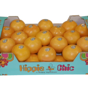 Pomelos Hippie Chic 60x40x17