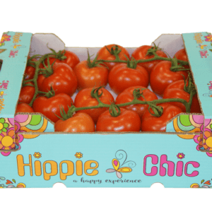 Tomates Hippie Chic 40x30x14