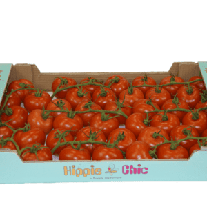Tomates Hippie Chic 60x40x9