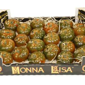 Tomates Monna Lisa 40x30x11