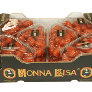 Tomates Monna Lisa 40x30x12