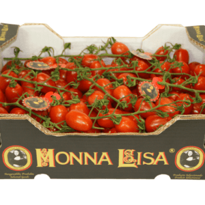 Tomates Monna Lisa 40x30x12