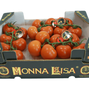 Tomates Monna Lisa 40x30x14