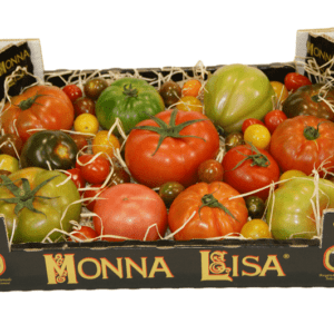 Tomates Monna Lisa 40x30x9