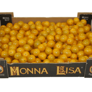 Tomates Monna Lisa 40x30x9