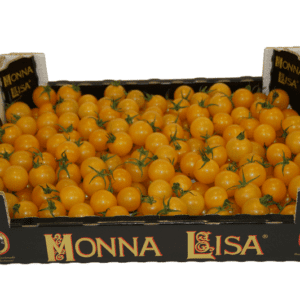 Tomates Monna Lisa 40x30x9