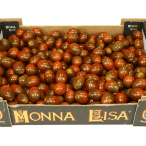 Tomates Monna Lisa 40x30x9