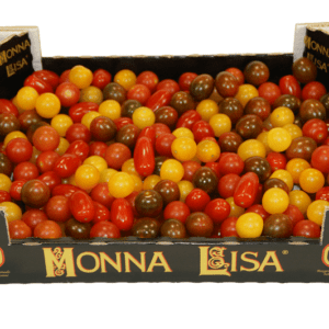 Tomates Monna Lisa 40x30x9