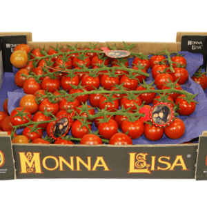Tomates Monna Lisa 40x30x9