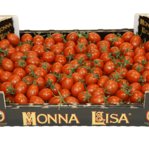 Tomates Monna Lisa 40x30x9