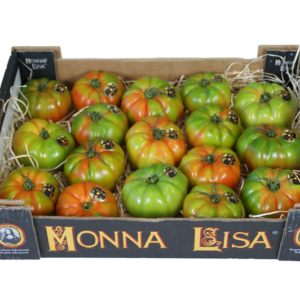 Tomates Monna Lisa 40x30x9