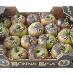 Tomates Monna Lisa 40x30x9