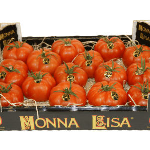 Tomates Monna Lisa 40x30x9