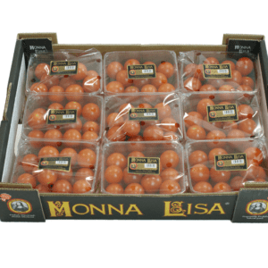Tomates Monna Lisa 40x30x9