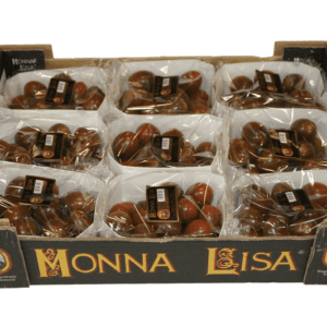 Tomates Monna Lisa 40x30x9